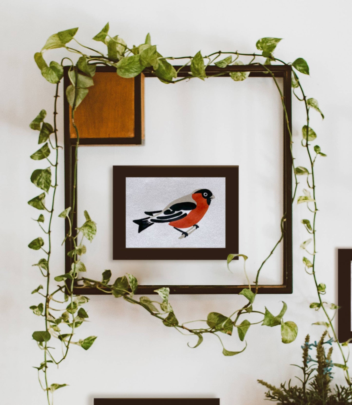 Coloready - Bird Study : Robin  |  Modern Paint By Numbers Kit