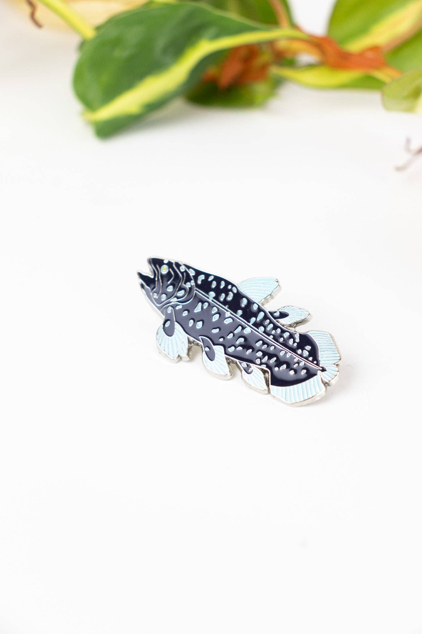 Stemcell Science Shop - Coelacanth Pin