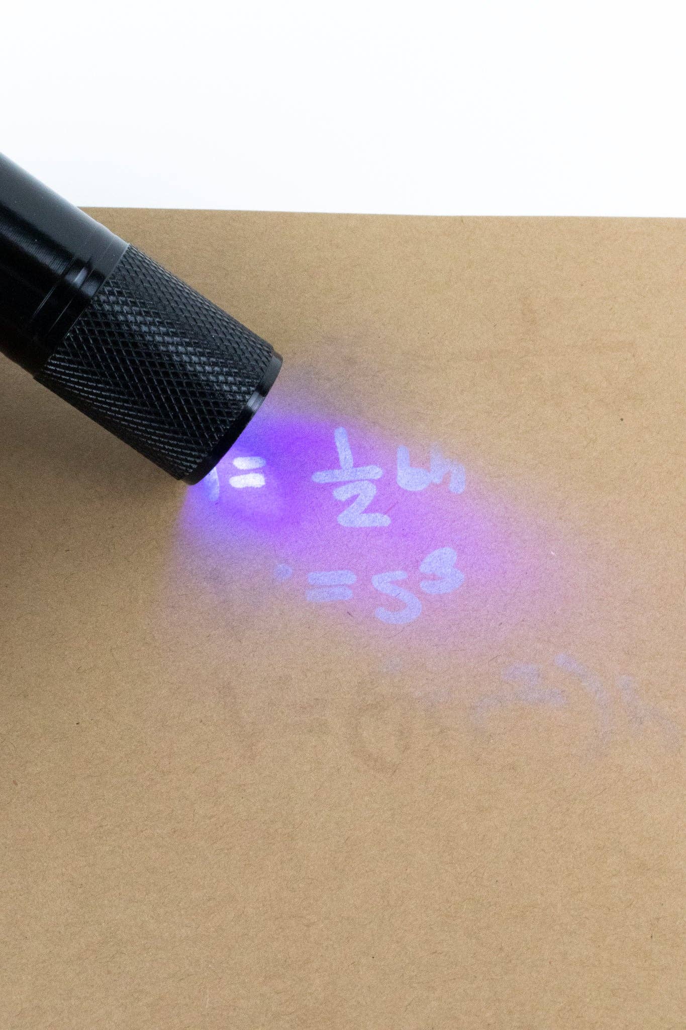 Stemcell Science Shop - LED Ultraviolet Flashlight