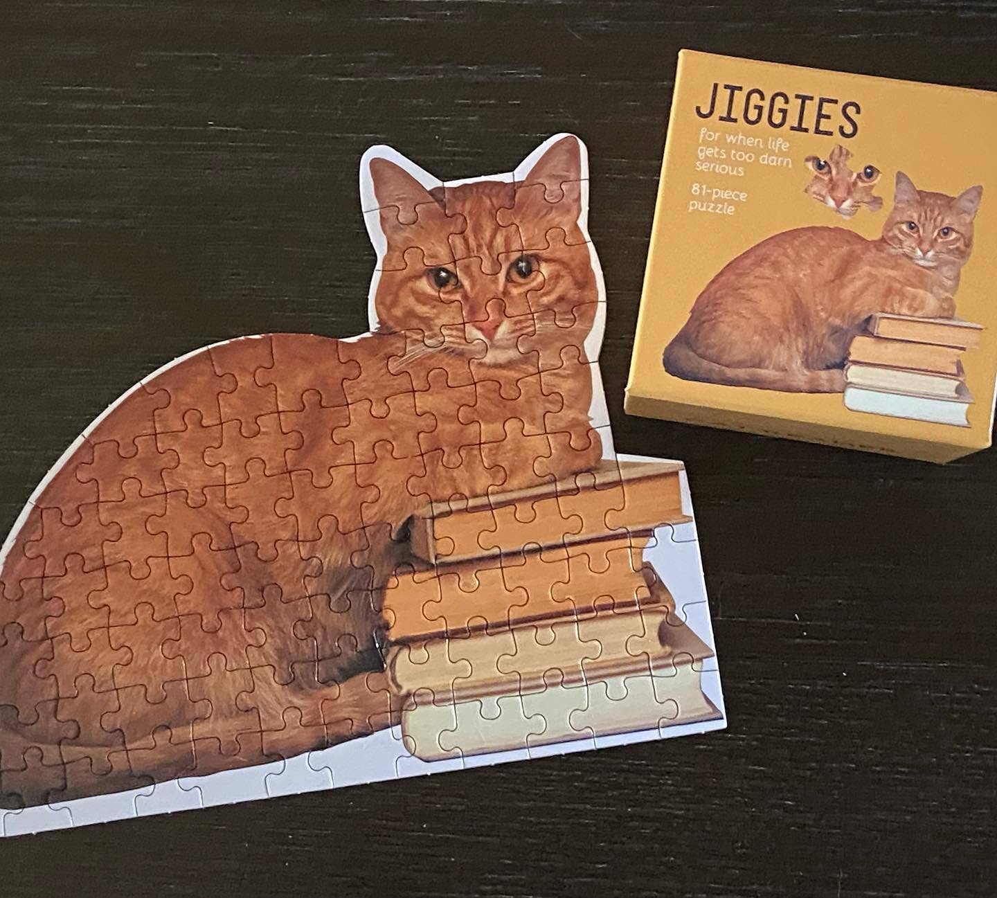 Gibbs Smith - Cat Reader Jiggie Puzzle