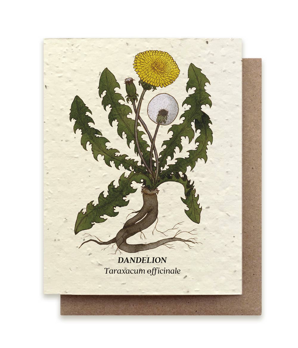 Small Victories - Dandelion Plantable Wildflower Seed Card