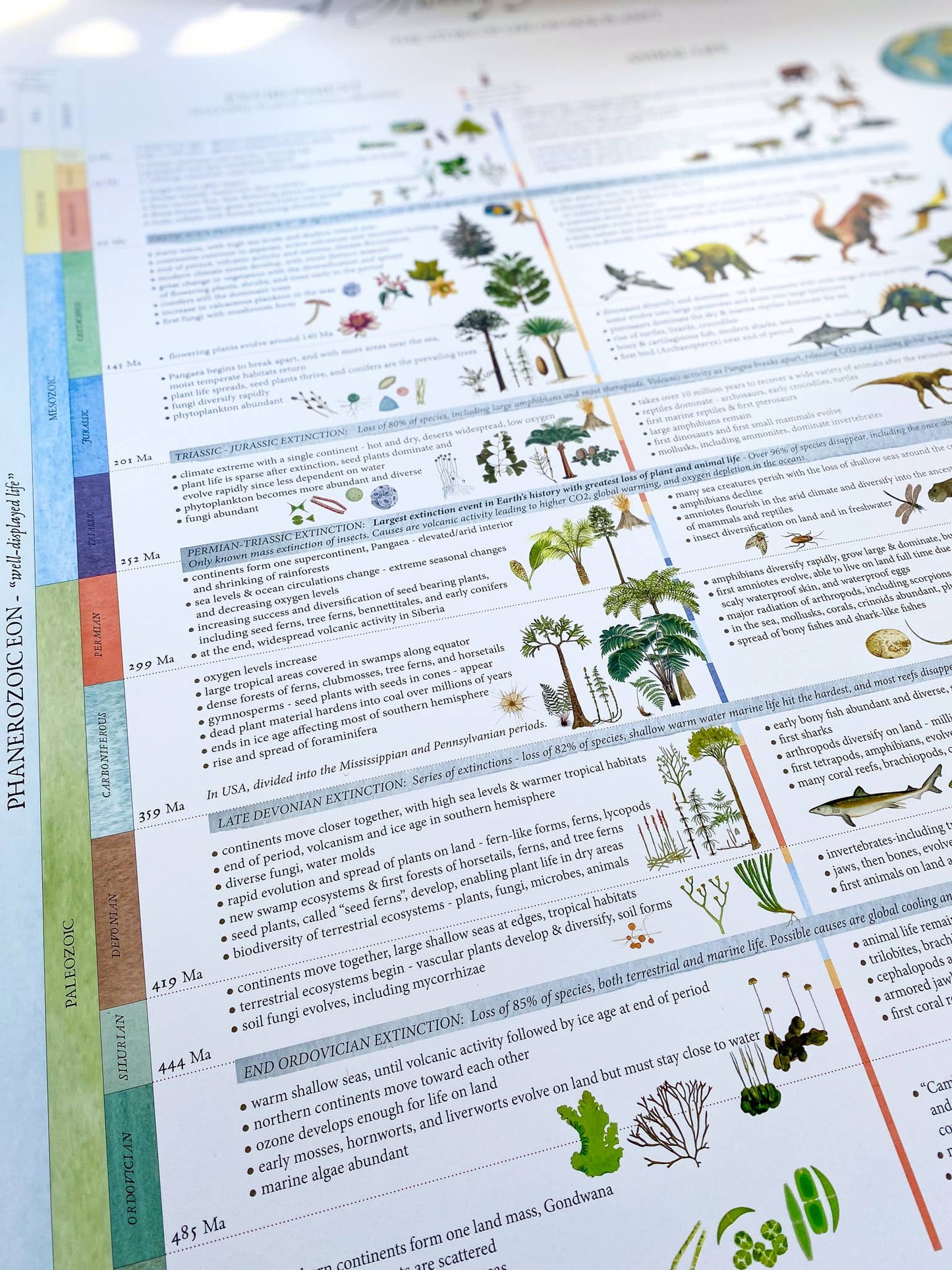 A History of the Earth