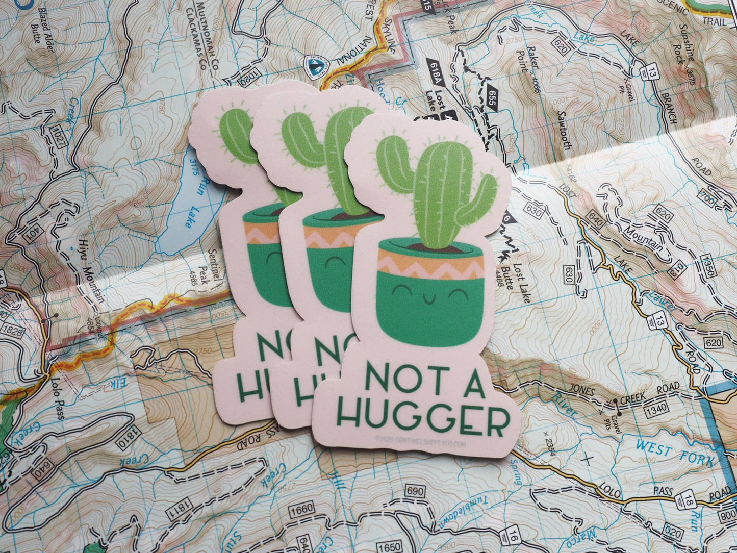 Sentinel Supply - Not a Hugger Cute Cactus Sticker, Funny House Plant Decals