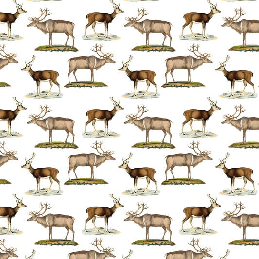 Fairhope Graphics - Deer Gift Wrap