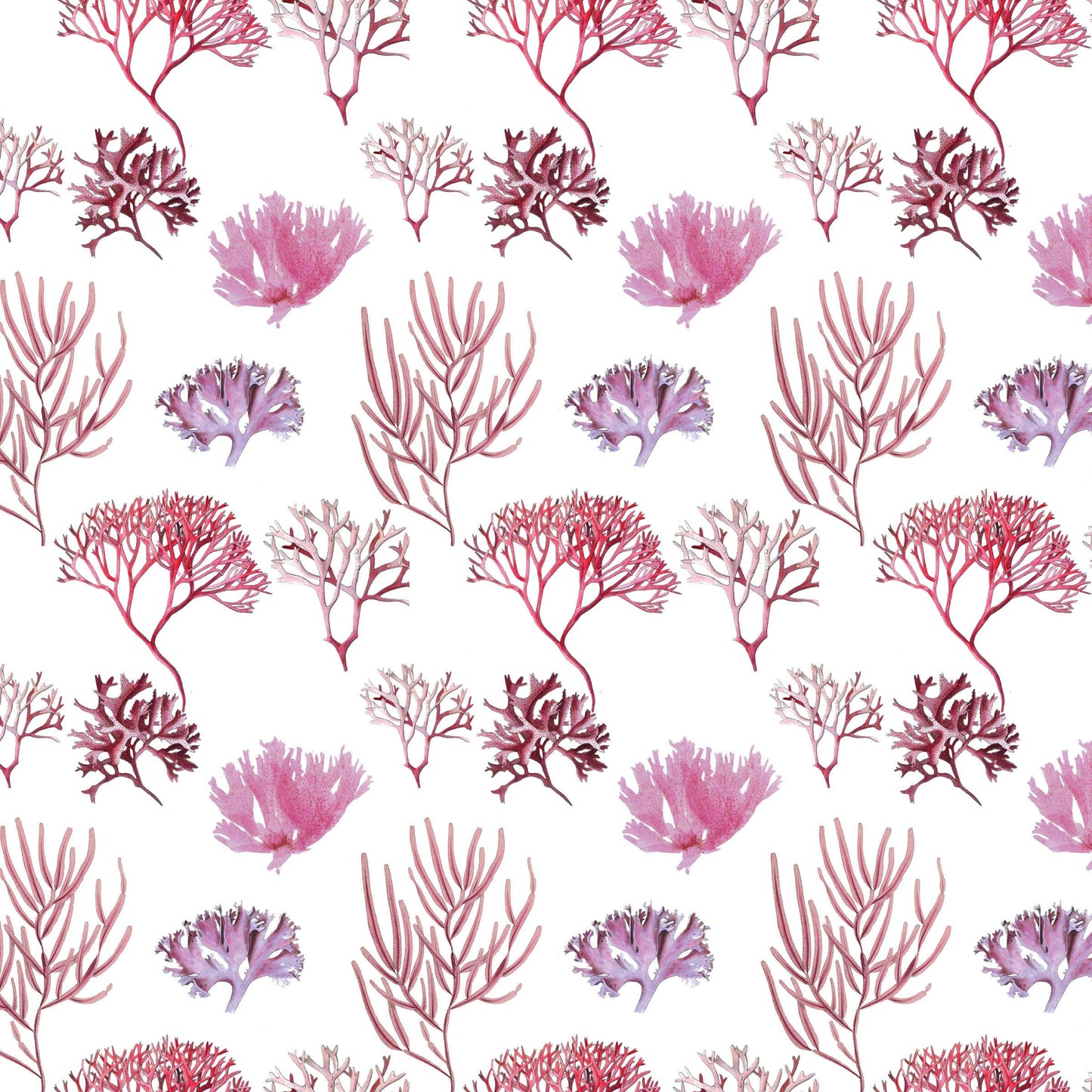 Fairhope Graphics - Red Algae Gift Wrap