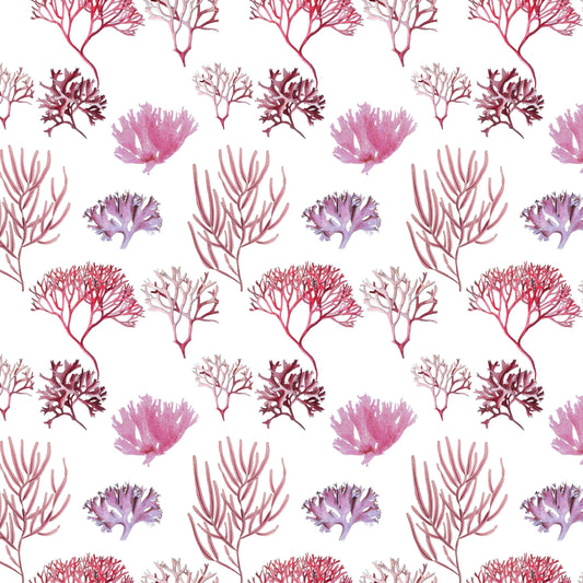 Fairhope Graphics - Red Algae Gift Wrap