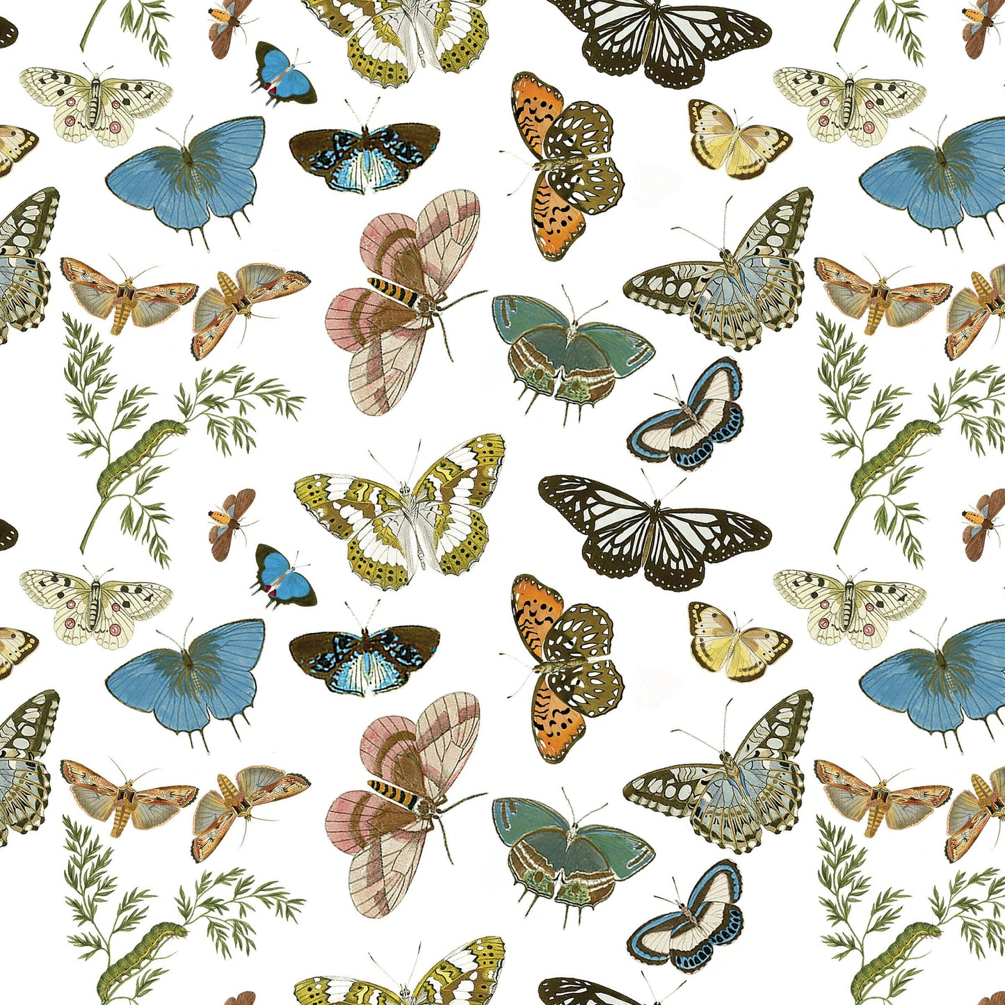 Fairhope Graphics - Butterflies and Moths Gift Wrap Single Sheet