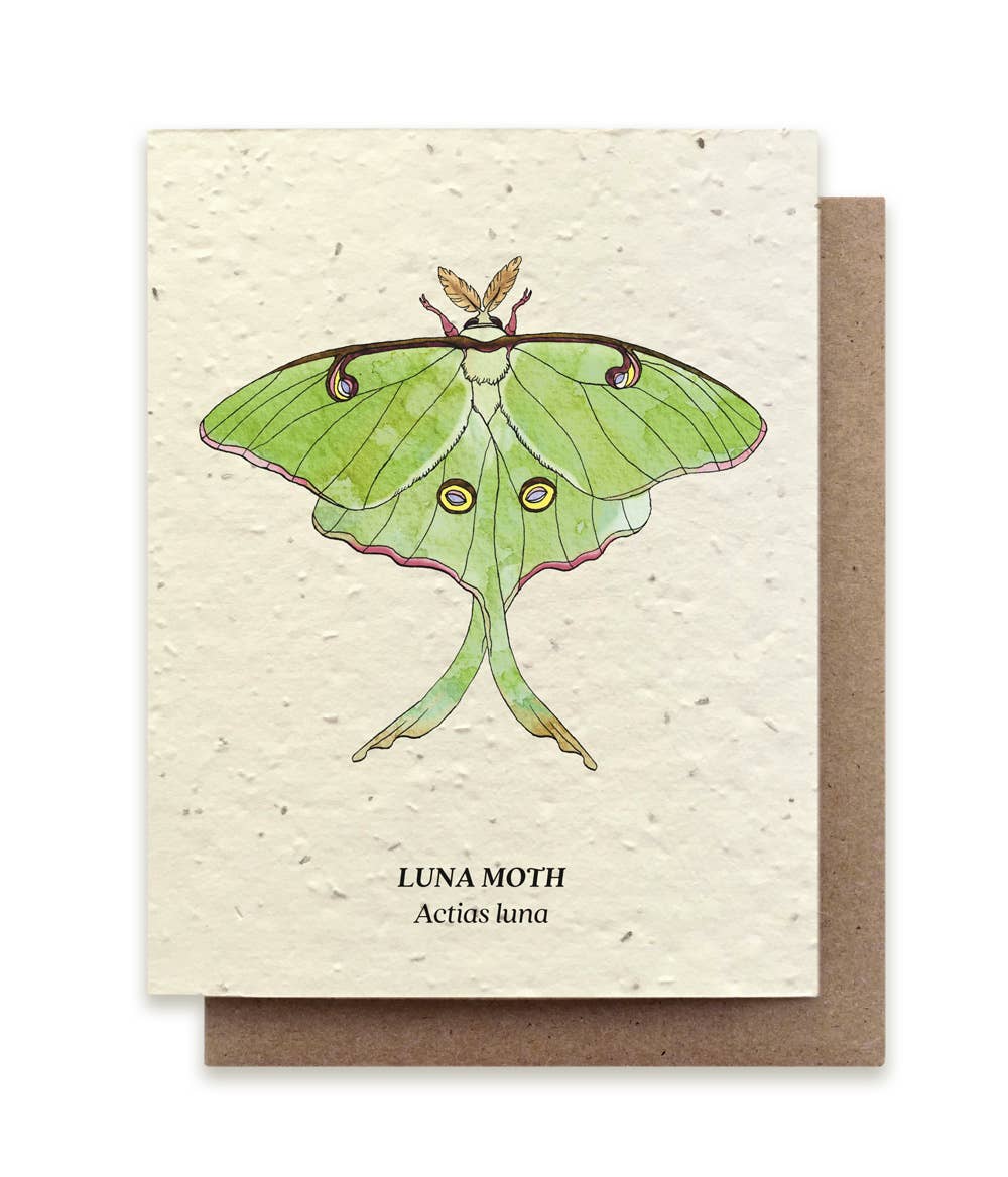 Small Victories - Luna Moth Plantable Wildflower Seed Card