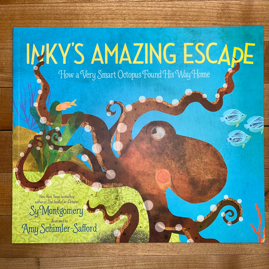 Inky’s Amazing Escape