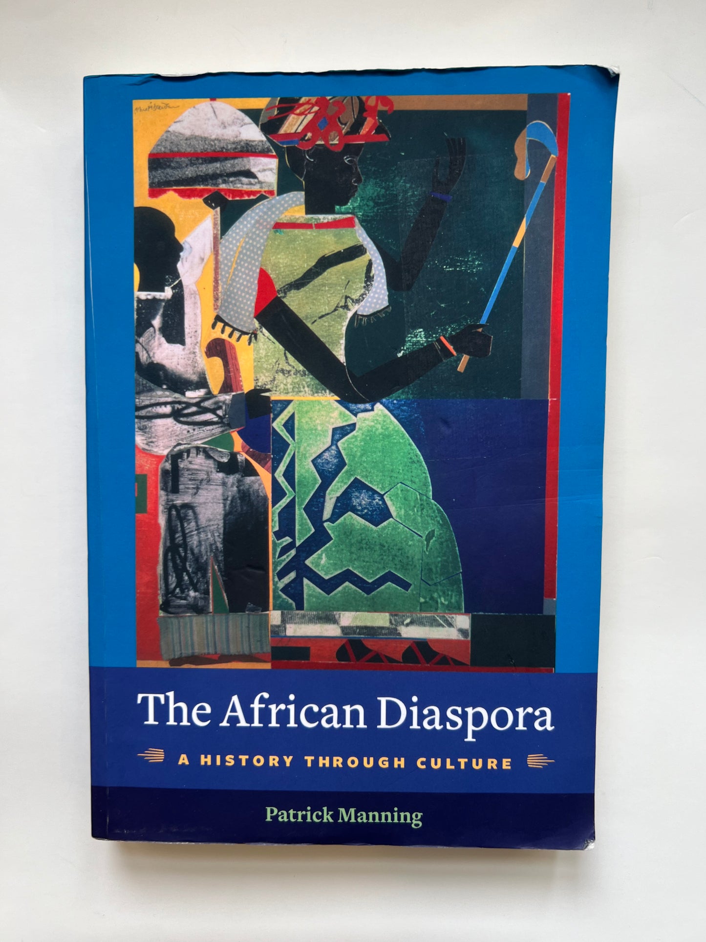 The African Diaspora a History Through Culture