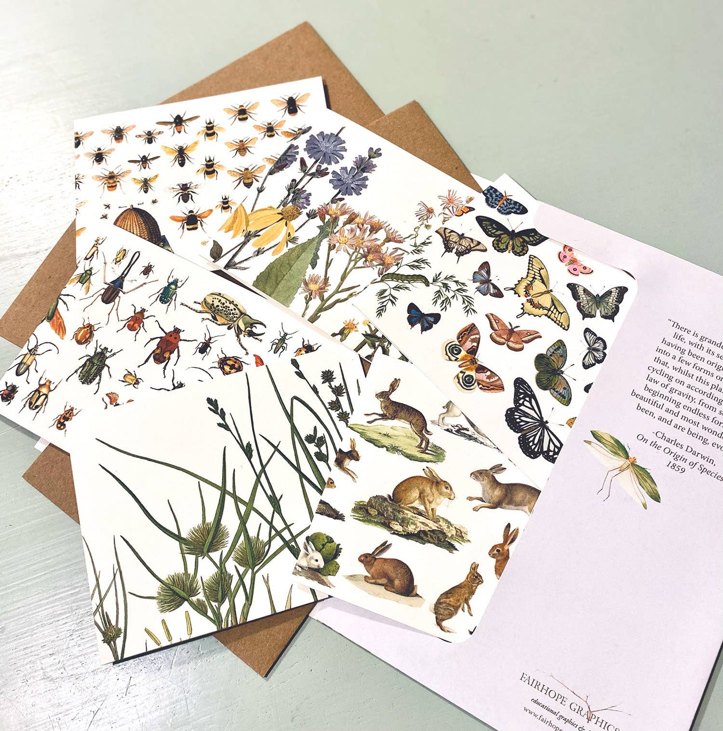 Fairhope Graphics - Meadow Card Pack