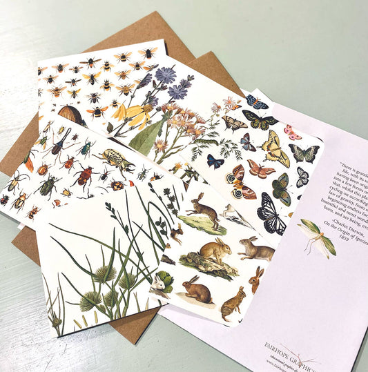 Fairhope Graphics - Meadow Card Pack