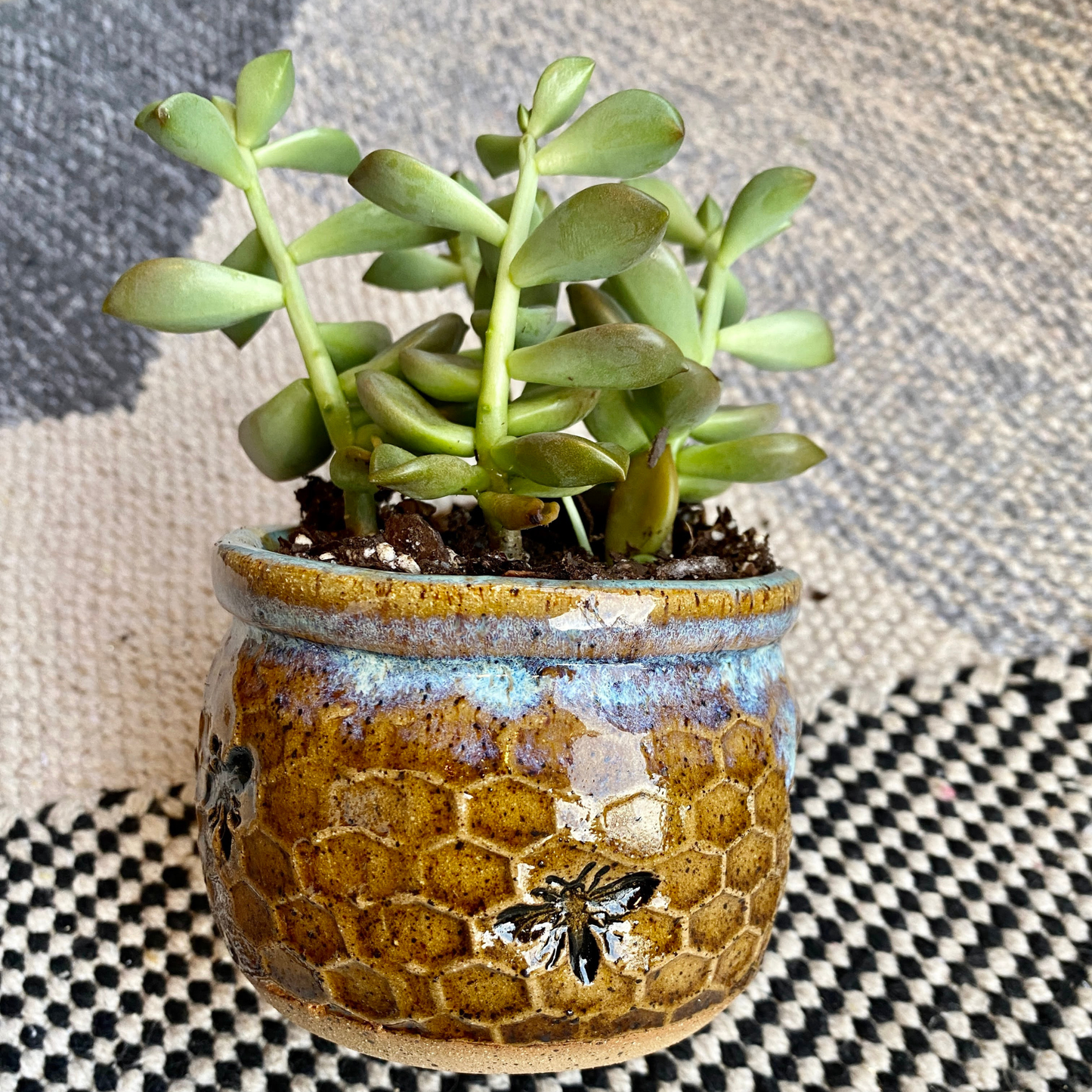 AMG Pottery - Honeycomb Succulent Planter