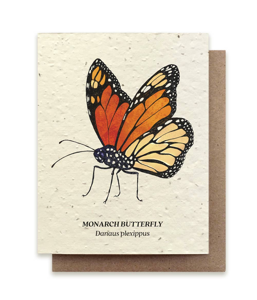 Small Victories - Monarch Butterfly Plantable Wildflower Seed Card