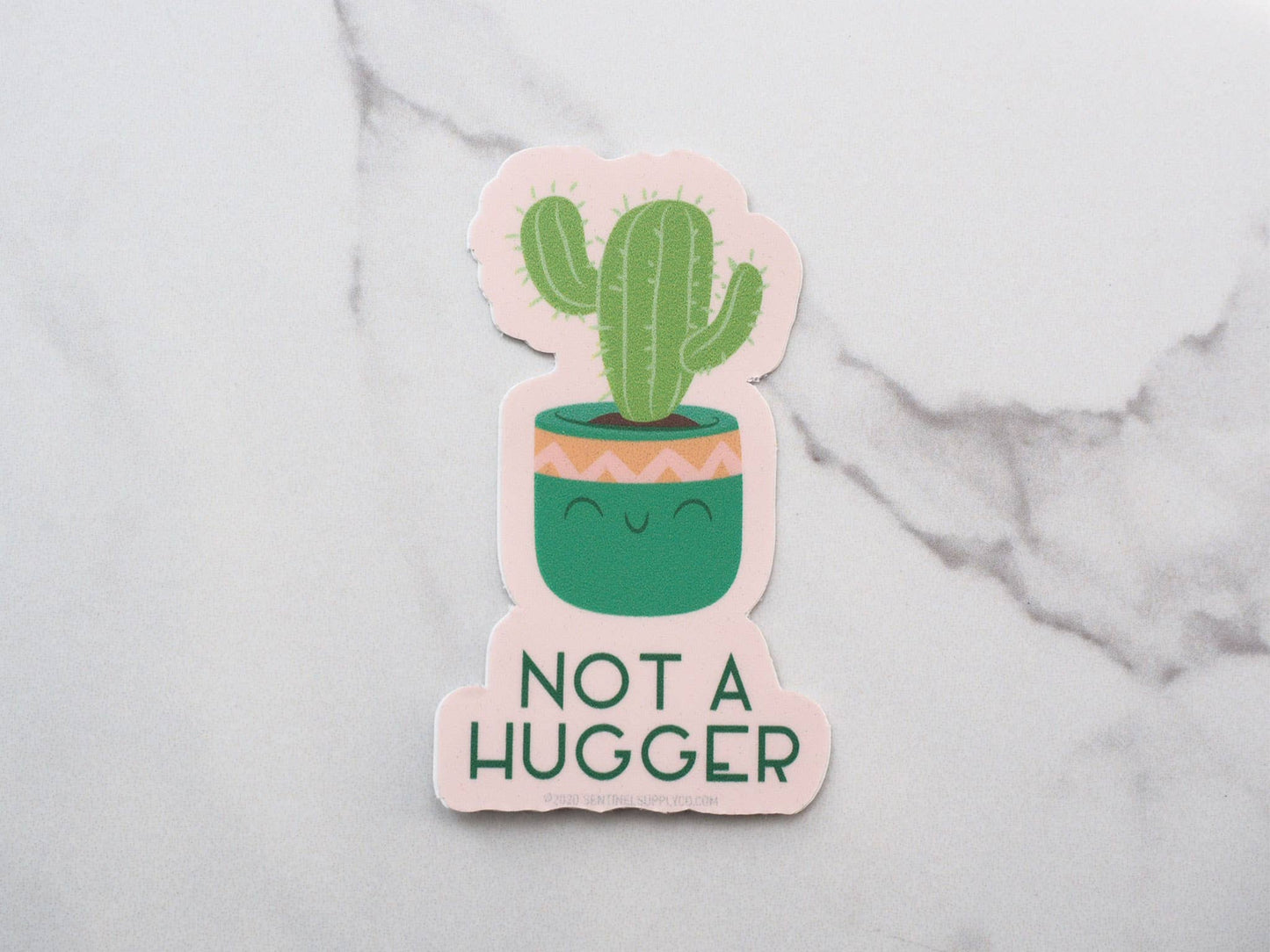 Sentinel Supply - Not a Hugger Cute Cactus Sticker, Funny House Plant Decals