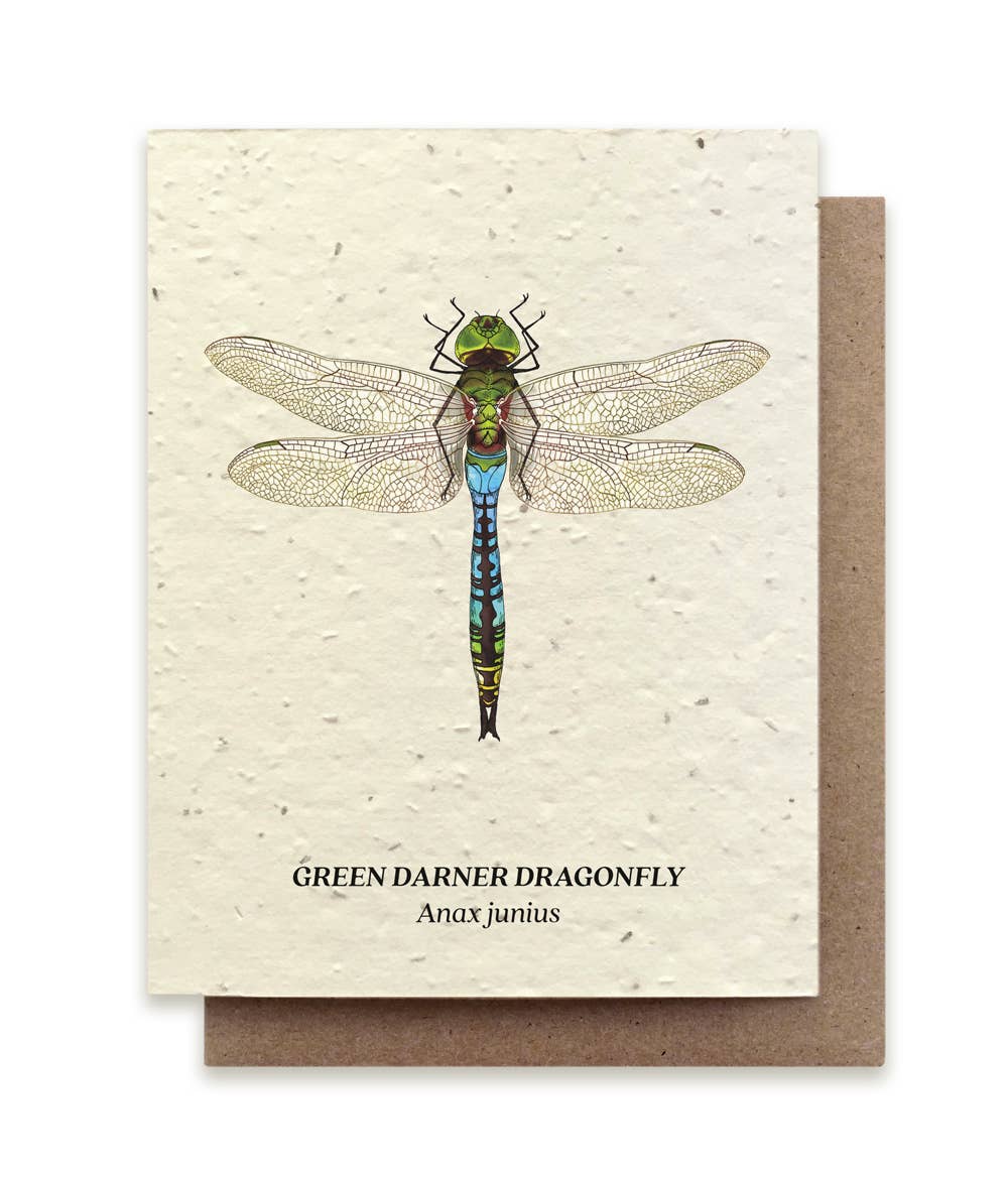 Small Victories - Green Darner Dragonfly Plantable Wildflower Seed Card