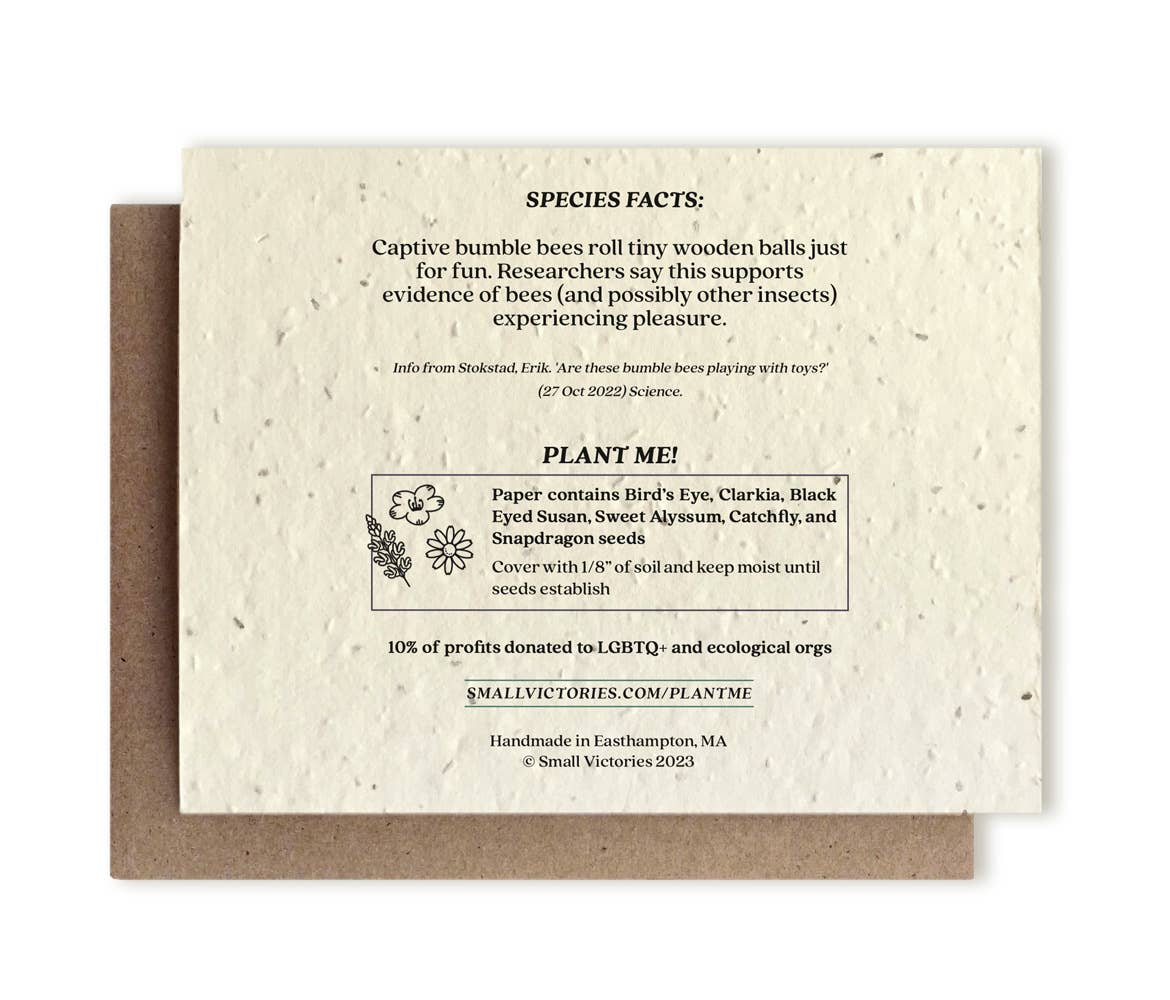 Small Victories - Bumble Bee Plantable Wildflower Seed Card