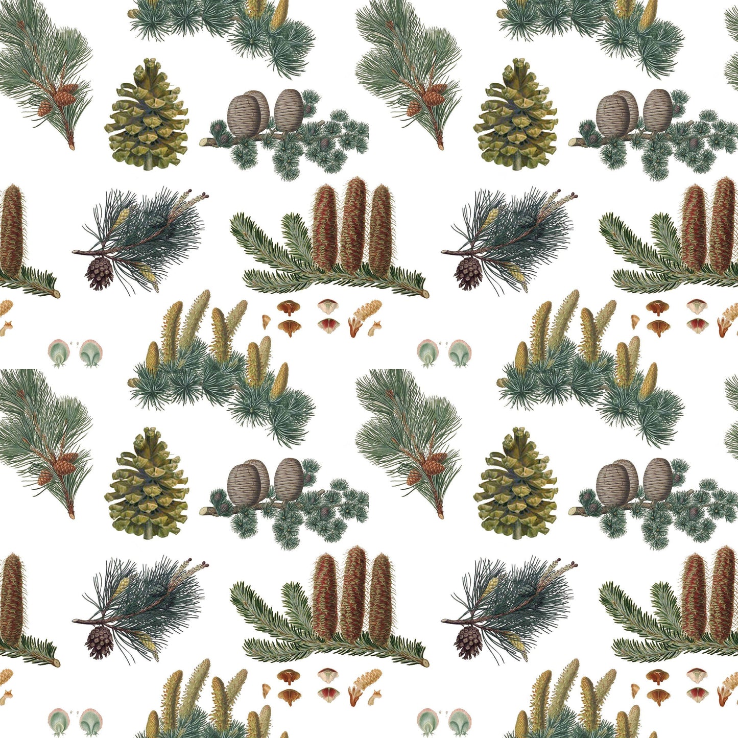 Fairhope Graphics - Pine Cones Gift Wrap