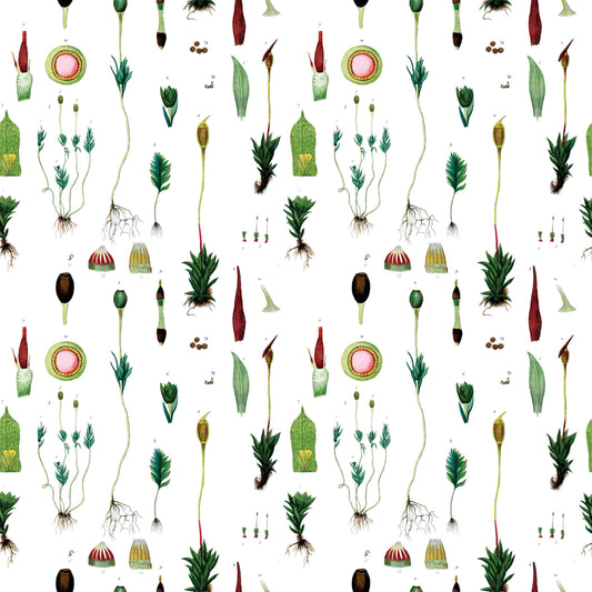 Fairhope Graphics - Moss Gift Wrap