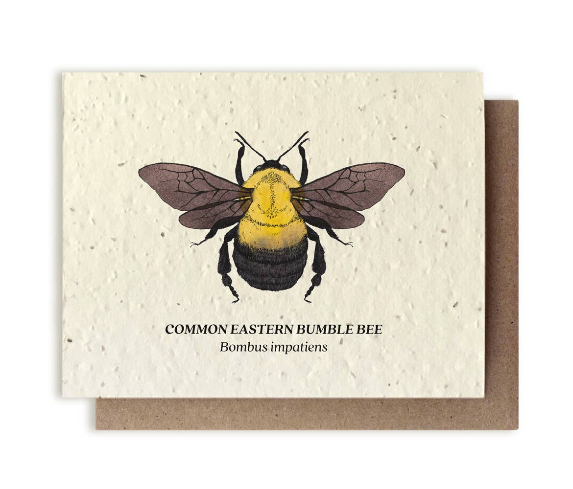 Small Victories - Bumble Bee Plantable Wildflower Seed Card