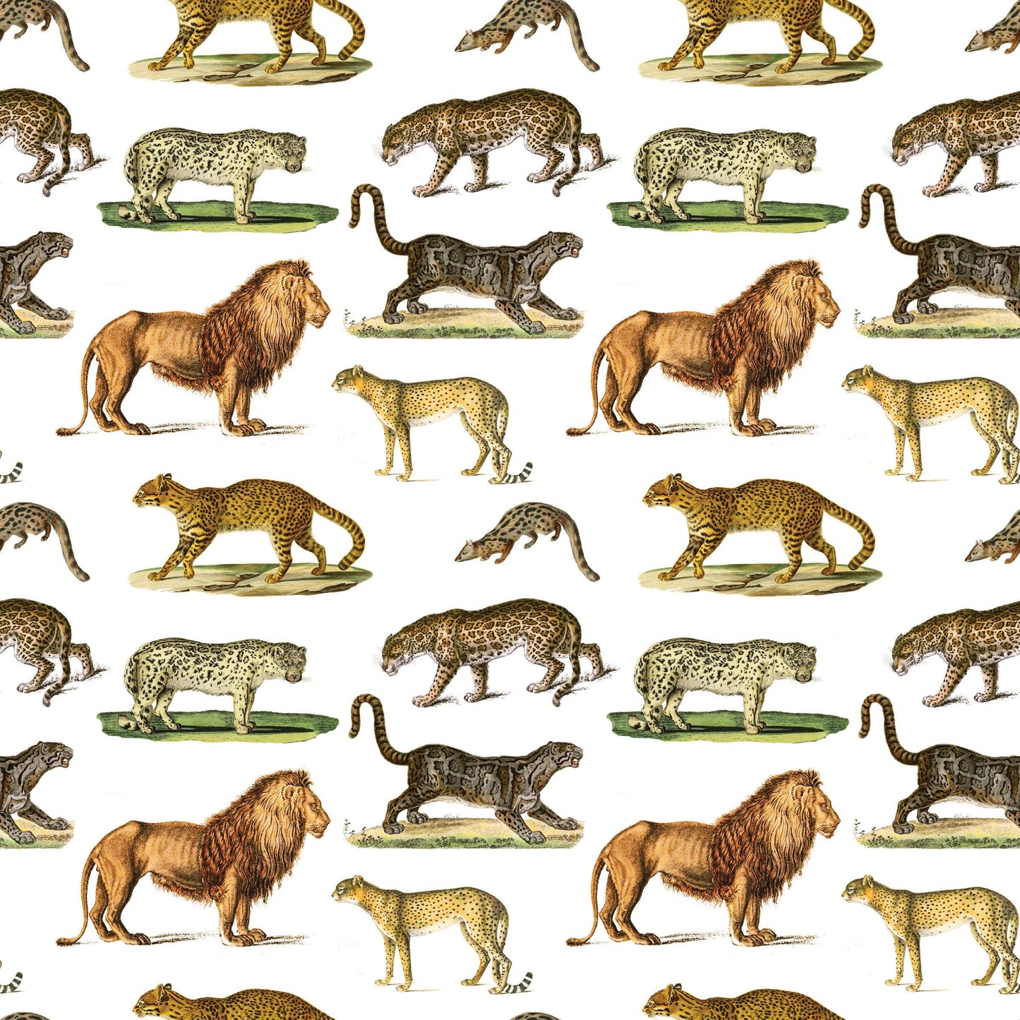 Fairhope Graphics - Cats Gift Wrap