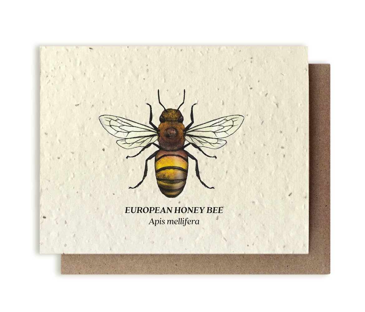 Small Victories - Honey Bee Plantable Wildflower Seed Card