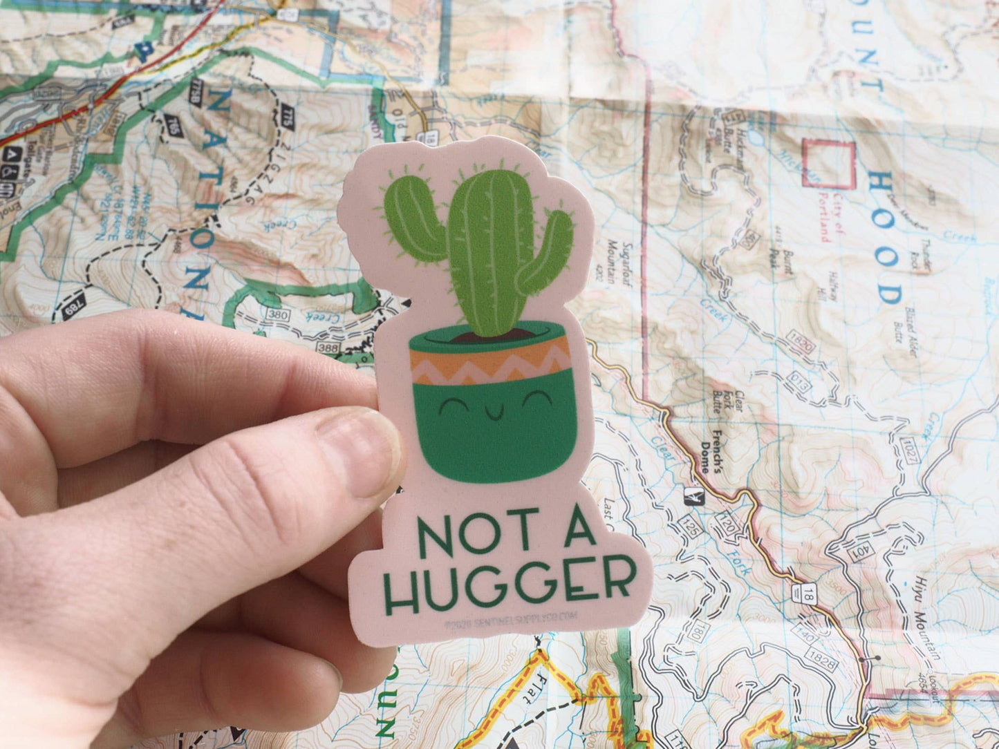 Sentinel Supply - Not a Hugger Cute Cactus Sticker, Funny House Plant Decals