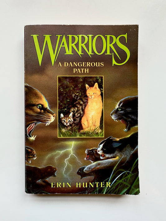 Warriors: A Dangerous Path