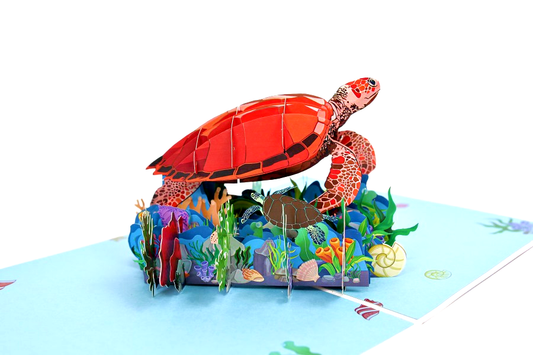 Turtle Pop Up Card