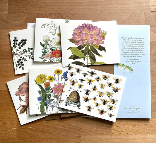 Garden Card Pack