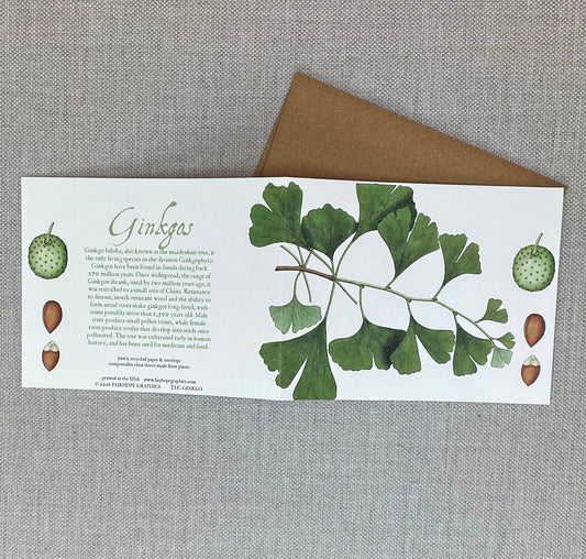 Fairhope Graphics - Ginkgo Card