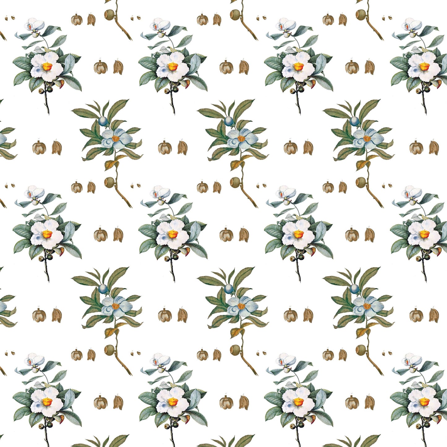 Bartram's Franklinia Gift Wrap Single Sheet