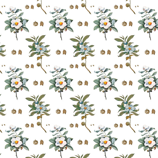 Bartram's Franklinia Gift Wrap Single Sheet