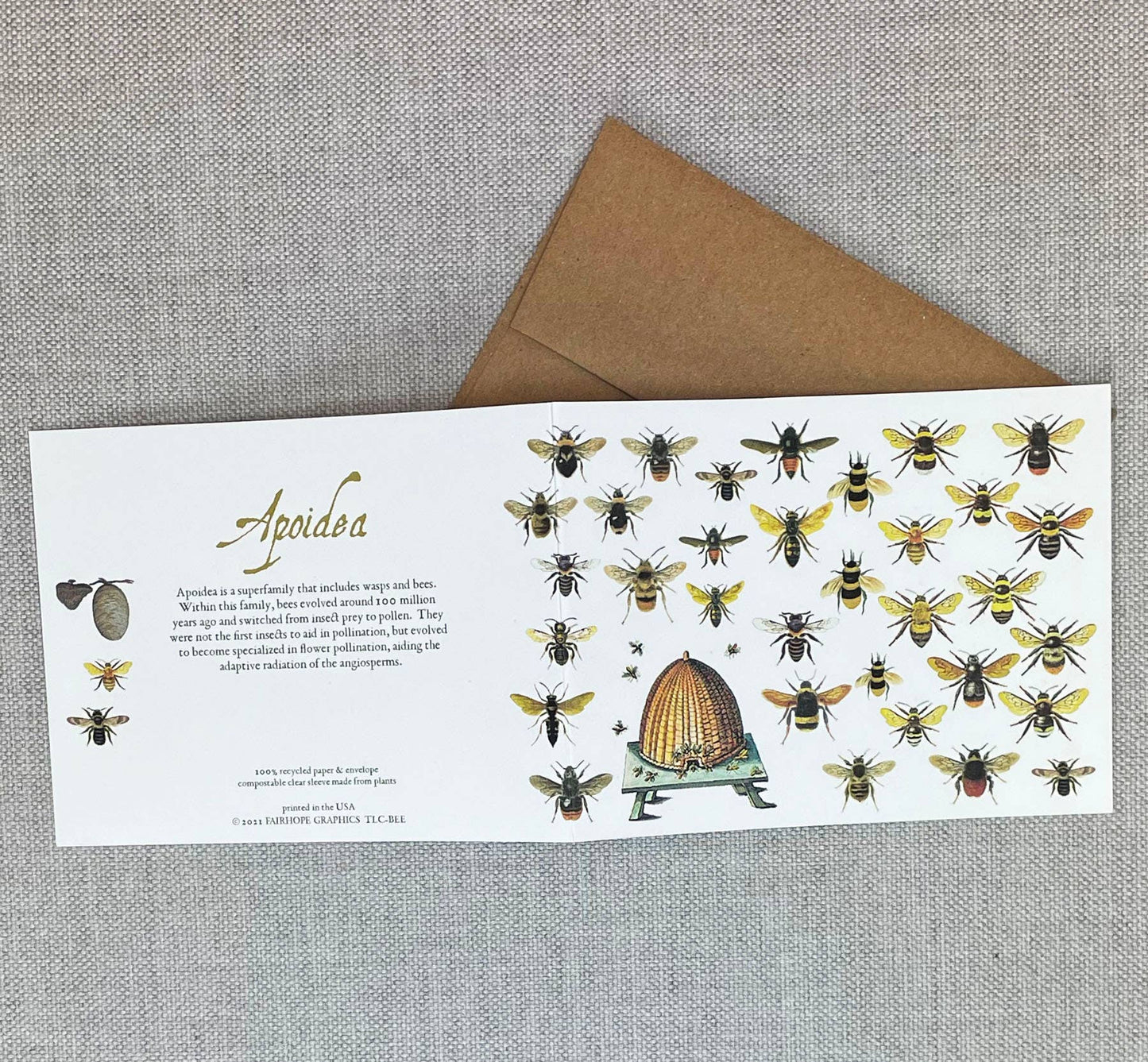 Fairhope Graphics - Bees Card