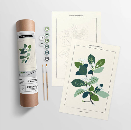 Tahitian Gardenia | Modern Paint By Numbers Kit