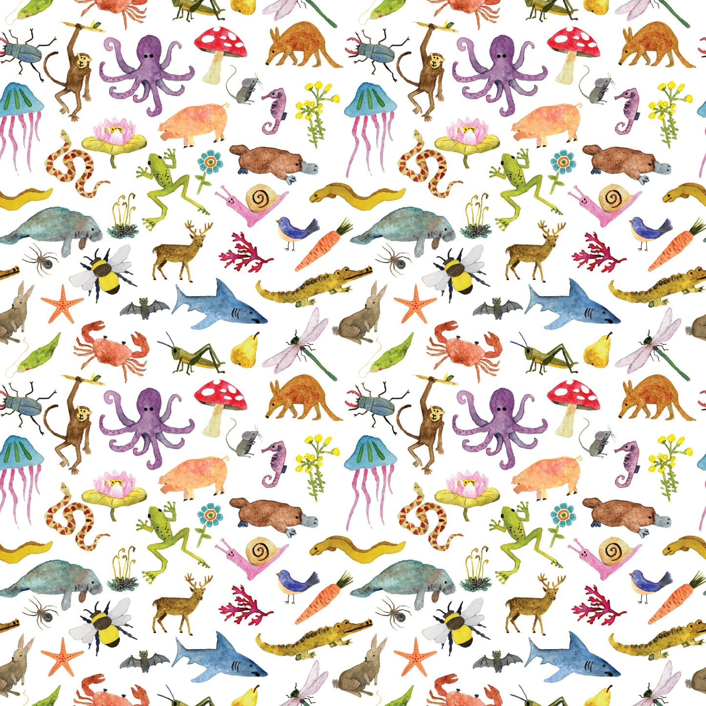 Kids Biodiversity Gift Wrap Single Sheet