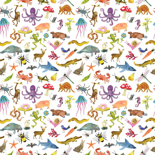 Kids Biodiversity Gift Wrap Single Sheet