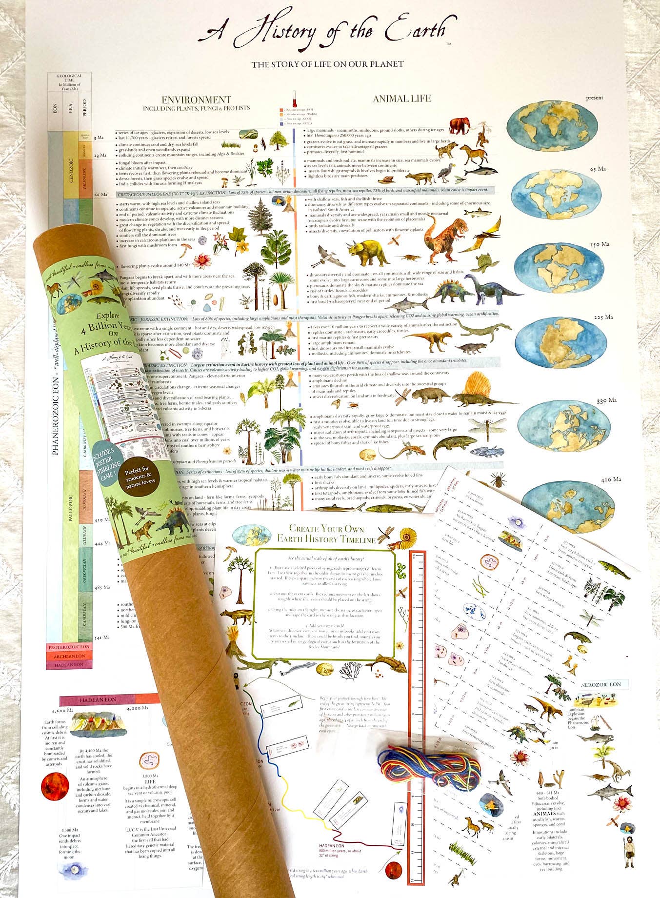 Fairhope Graphics - A History of the Earth - Laminated