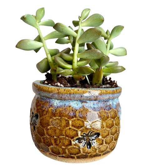 AMG Pottery - Honeycomb Succulent Planter