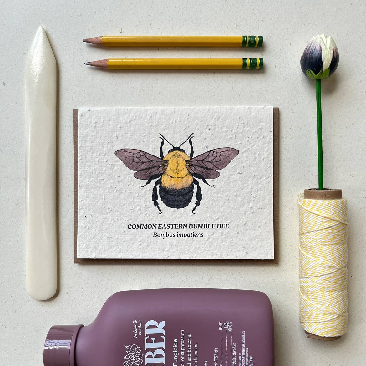 Small Victories - Bumble Bee Plantable Wildflower Seed Card