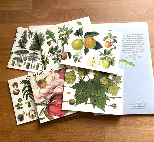 Trees Card Pack