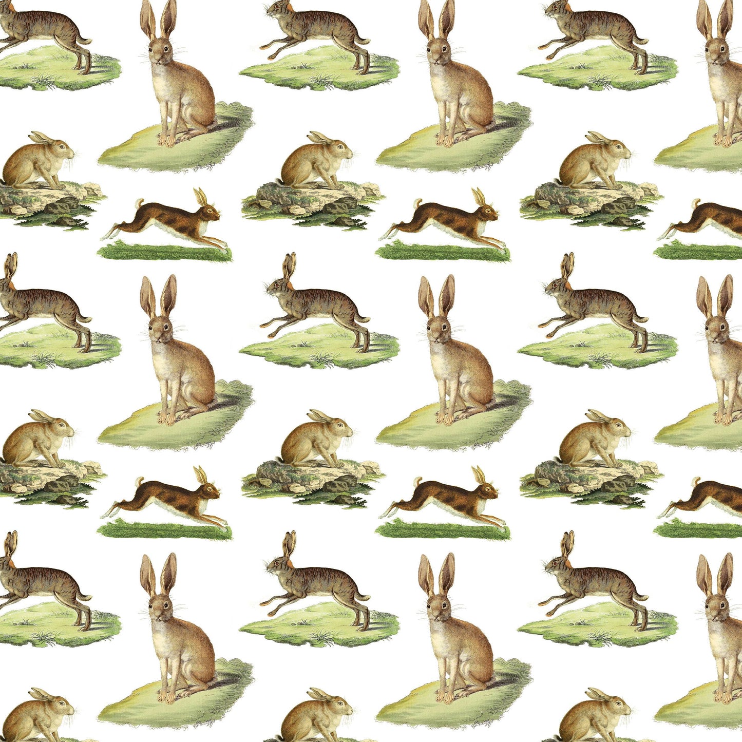 Fairhope Graphics - Rabbits Gift Wrap