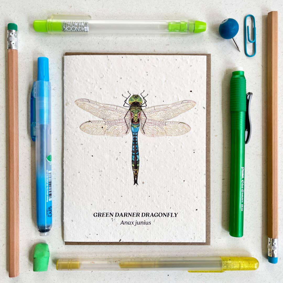 Small Victories - Green Darner Dragonfly Plantable Wildflower Seed Card