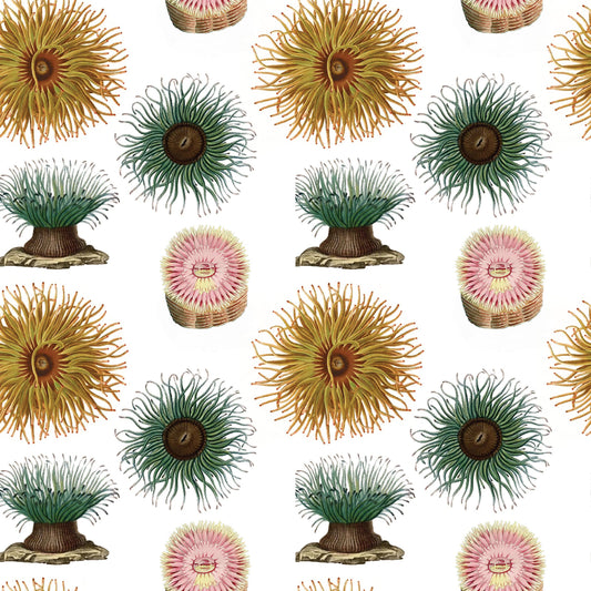 Sea Anemones Gift Wrap