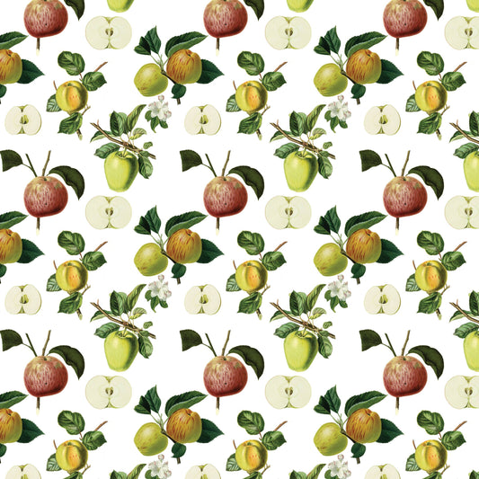 Apples Gift Wrap Single Sheet