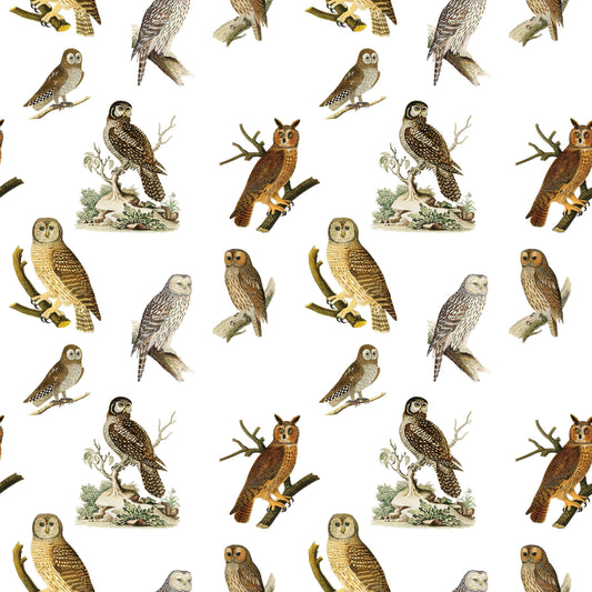 Owls Gift Wrap