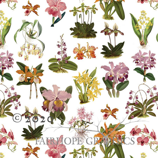 Orchid Gift Wrap Single Sheet