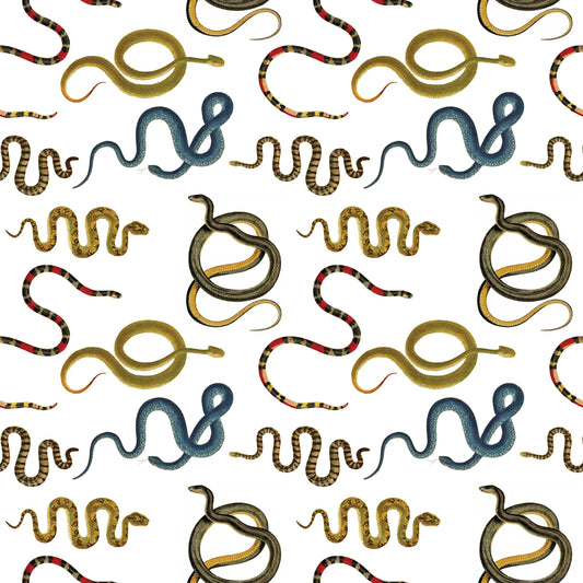 Snakes Gift Wrap