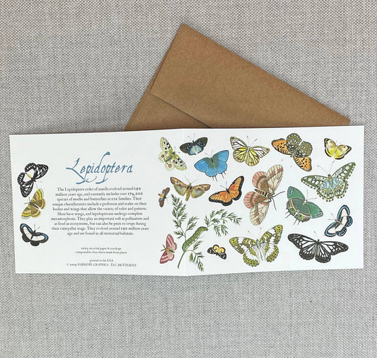 Fairhope Graphics - Butterflies and Moths Card