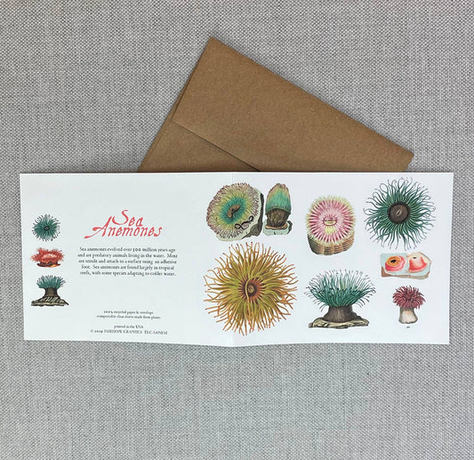 Sea Anemones Card